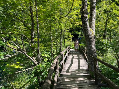 Plitvice Gölleri Ulusal Parkı 'ndaki göller ve orman boyunca tahta patikalar ve geçitler - Plitvica, Hırvatistan (Drvene staze i setnice u Nacionalnom parku Plitvicka jezera - Hrvatska)