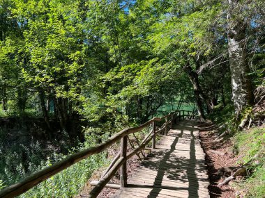 Plitvice Gölleri Ulusal Parkı 'ndaki göller ve orman boyunca tahta patikalar ve geçitler - Plitvica, Hırvatistan (Drvene staze i setnice u Nacionalnom parku Plitvicka jezera - Hrvatska)