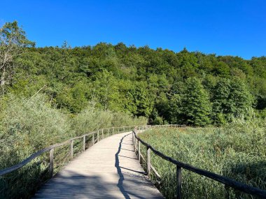 Plitvice Gölleri Ulusal Parkı 'ndaki göller ve orman boyunca tahta patikalar ve geçitler - Plitvica, Hırvatistan (Drvene staze i setnice u Nacionalnom parku Plitvicka jezera - Hrvatska)