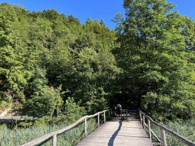 Plitvice Gölleri Ulusal Parkı 'ndaki göller ve orman boyunca tahta patikalar ve geçitler - Plitvica, Hırvatistan (Drvene staze i setnice u Nacionalnom parku Plitvicka jezera - Hrvatska)