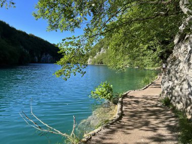 Plitvice Gölleri Ulusal Parkı 'ndaki göller ve orman boyunca tahta patikalar ve geçitler - Plitvica, Hırvatistan (Drvene staze i setnice u Nacionalnom parku Plitvicka jezera - Hrvatska)