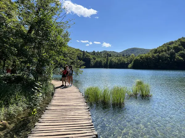 Plitvice Gölleri Ulusal Parkı 'ndaki göller ve orman boyunca tahta patikalar ve geçitler - Plitvica, Hırvatistan (Drvene staze i setnice u Nacionalnom parku Plitvicka jezera - Hrvatska)