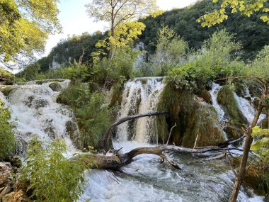 Plitvice Lakes Ulusal Parkı (UNESCO) - Plitvica, Hırvatistan veya Slikoviti krajobrazi i prekrasni motivi iz nacionalnog parka Plitvicka jezera - Plitvice, Hrvatska