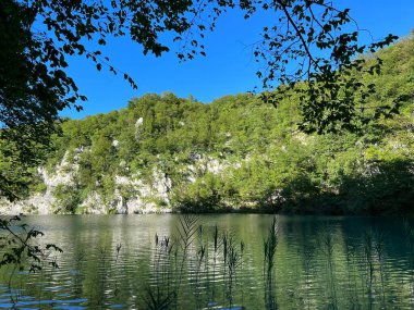 Plitvice Lakes Ulusal Parkı (UNESCO) - Plitvica, Hırvatistan veya Slikoviti krajobrazi i prekrasni motivi iz nacionalnog parka Plitvicka jezera - Plitvice, Hrvatska