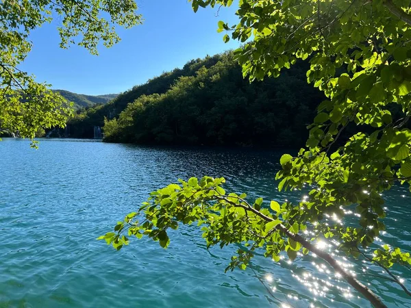 Landschaft Und Umwelt Des Nationalparks Plitvicer Seen Unesco Plitvica Kroatien — Stockfoto