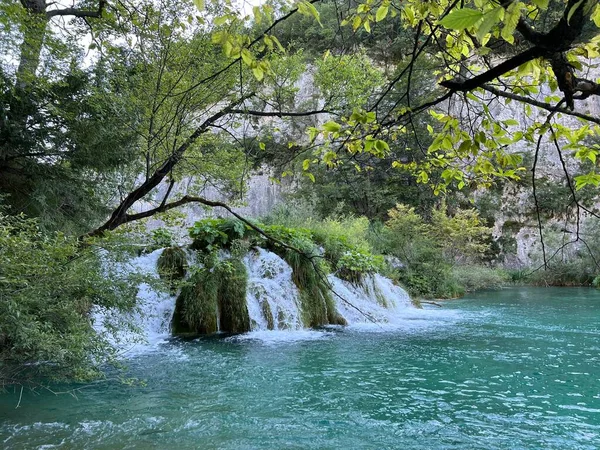 Пейзаж Окружающая Среда Национального Парка Плитвицкие Озера Юнеско Плитвица Хорватия — стоковое фото