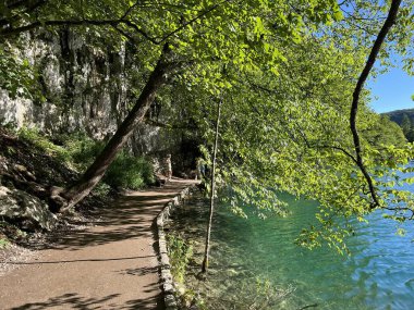 Plitvice Gölleri Ulusal Parkı 'ndaki göller ve orman boyunca tahta patikalar ve geçitler - Plitvica, Hırvatistan (Drvene staze i setnice u Nacionalnom parku Plitvicka jezera - Hrvatska)