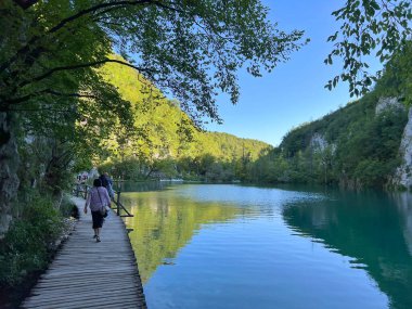Plitvice Gölleri Ulusal Parkı 'ndaki göller ve orman boyunca tahta patikalar ve geçitler - Plitvica, Hırvatistan (Drvene staze i setnice u Nacionalnom parku Plitvicka jezera - Hrvatska)