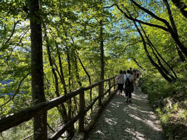 Plitvice Gölleri Ulusal Parkı 'ndaki göller ve orman boyunca tahta patikalar ve geçitler - Plitvica, Hırvatistan (Drvene staze i setnice u Nacionalnom parku Plitvicka jezera - Hrvatska)