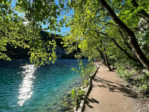 Plitvice Gölleri Ulusal Parkı 'ndaki göller ve orman boyunca tahta patikalar ve geçitler - Plitvica, Hırvatistan (Drvene staze i setnice u Nacionalnom parku Plitvicka jezera - Hrvatska)