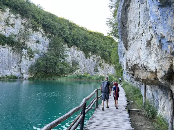 Plitvice Gölleri Ulusal Parkı 'ndaki göller ve orman boyunca tahta patikalar ve geçitler - Plitvica, Hırvatistan (Drvene staze i setnice u Nacionalnom parku Plitvicka jezera - Hrvatska)