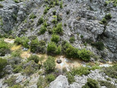 Przun tepesinin eteğindeki engebeli bir kanyonda Bijela voda ya da Bijeli Nehri - Hırvatistan (Rijeka Bijela voda ili Bijeli potok u krsevitom kanjonu podno brda Przun - Hrvatska)