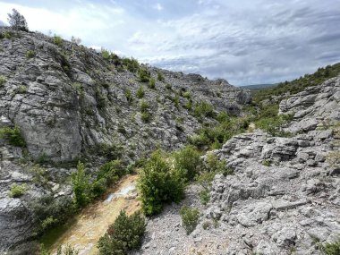 Przun tepesinin eteğindeki engebeli bir kanyonda Bijela voda ya da Bijeli Nehri - Hırvatistan (Rijeka Bijela voda ili Bijeli potok u krsevitom kanjonu podno brda Przun - Hrvatska)