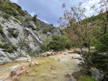 Przun tepesinin eteğindeki engebeli bir kanyonda Bijela voda ya da Bijeli Nehri - Hırvatistan (Rijeka Bijela voda ili Bijeli potok u krsevitom kanjonu podno brda Przun - Hrvatska)