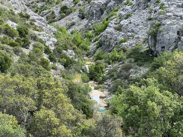 Przun tepesinin eteğindeki engebeli bir kanyonda Bijela voda ya da Bijeli Nehri - Hırvatistan (Rijeka Bijela voda ili Bijeli potok u krsevitom kanjonu podno brda Przun - Hrvatska)