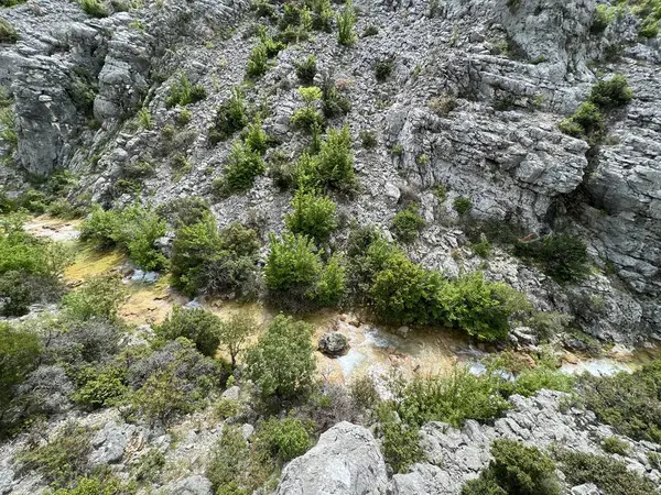 Przun tepesinin eteğindeki engebeli bir kanyonda Bijela voda ya da Bijeli Nehri - Hırvatistan (Rijeka Bijela voda ili Bijeli potok u krsevitom kanjonu podno brda Przun - Hrvatska)