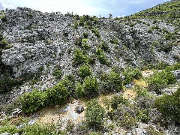 Przun tepesinin eteğindeki engebeli bir kanyonda Bijela voda ya da Bijeli Nehri - Hırvatistan (Rijeka Bijela voda ili Bijeli potok u krsevitom kanjonu podno brda Przun - Hrvatska)