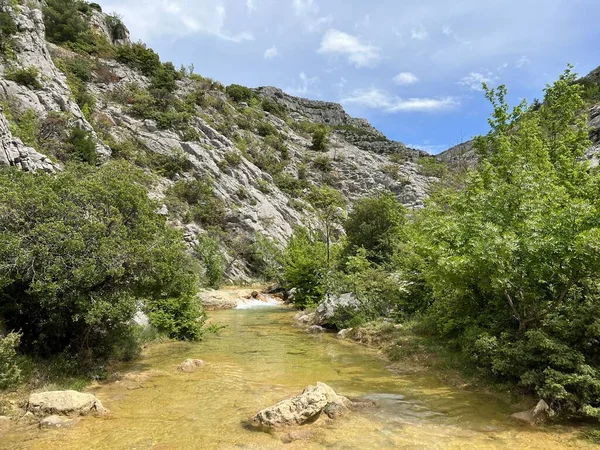 Przun tepesinin eteğindeki engebeli bir kanyonda Bijela voda ya da Bijeli Nehri - Hırvatistan (Rijeka Bijela voda ili Bijeli potok u krsevitom kanjonu podno brda Przun - Hrvatska)