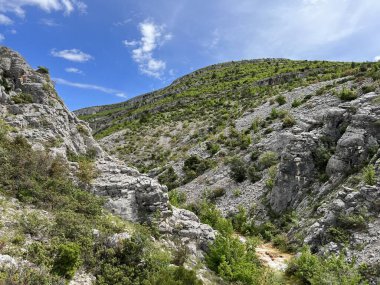 Bijela voda dere kanyonu veya Bijela nehir karst kanyonu, Karin Gornji - Hırvatistan (Kanjon potoka Bijela voda ili krski kanjon Bijela rijeka, Karin Gornji - Hrvatska)