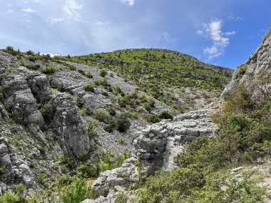 Bijela voda dere kanyonu veya Bijela nehir karst kanyonu, Karin Gornji - Hırvatistan (Kanjon potoka Bijela voda ili krski kanjon Bijela rijeka, Karin Gornji - Hrvatska)