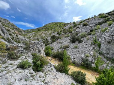 Bijela voda dere kanyonu veya Bijela nehir karst kanyonu, Karin Gornji - Hırvatistan (Kanjon potoka Bijela voda ili krski kanjon Bijela rijeka, Karin Gornji - Hrvatska)