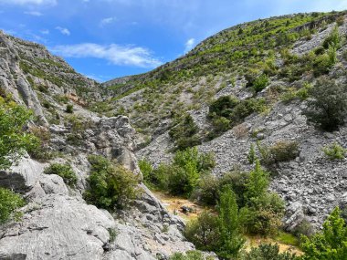 Bijela voda dere kanyonu veya Bijela nehir karst kanyonu, Karin Gornji - Hırvatistan (Kanjon potoka Bijela voda ili krski kanjon Bijela rijeka, Karin Gornji - Hrvatska)