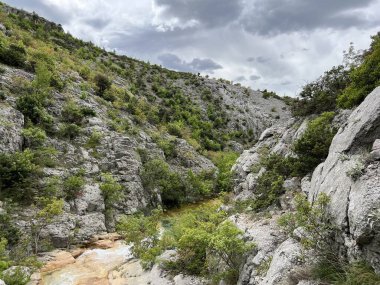 Bijela voda dere kanyonu veya Bijela nehir karst kanyonu, Karin Gornji - Hırvatistan (Kanjon potoka Bijela voda ili krski kanjon Bijela rijeka, Karin Gornji - Hrvatska)