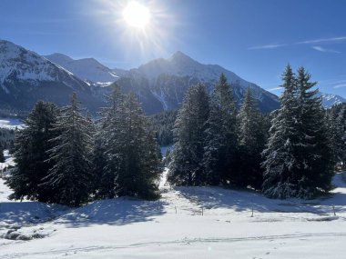 İsviçre Alpleri 'ndeki Valbella ve Lenzerheide tatil beldeleri üzerinde kar yağışı sonrası tipik bir kış atmosferindeki alp ağaçlarının resimli gölgeleri - İsviçre Grison Kantonu, İsviçre (Kanton Graubuenden, Schweiz)