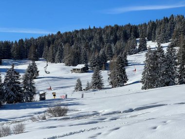 İsviçre Alpleri 'ndeki Valbella ve Lenzerheide tatil beldeleri üzerinde kar yağışı sonrası tipik bir kış atmosferindeki alp ağaçlarının resimli gölgeleri - İsviçre Grison Kantonu, İsviçre (Kanton Graubuenden, Schweiz)