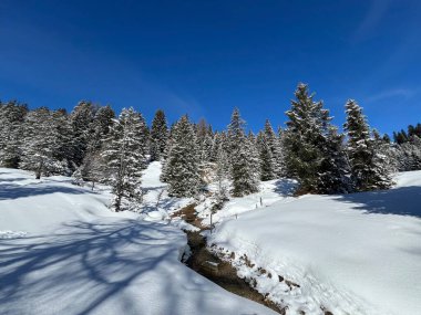 İsviçre Alpleri 'ndeki Valbella ve Lenzerheide tatil beldeleri üzerinde kar yağışı sonrası tipik bir kış atmosferindeki alp ağaçlarının resimli gölgeleri - İsviçre Grison Kantonu, İsviçre (Kanton Graubuenden, Schweiz)