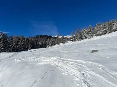 Wonderful winter hiking trails and traces after the winter snowfall above the tourist resorts of Valbella and Lenzerheide in the Swiss Alps - Canton of Grisons, Switzerland (Schweiz)