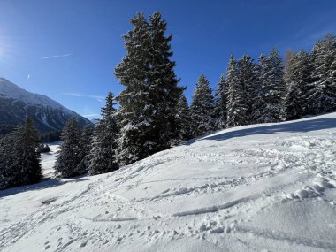 Wonderful winter hiking trails and traces after the winter snowfall above the tourist resorts of Valbella and Lenzerheide in the Swiss Alps - Canton of Grisons, Switzerland (Schweiz)