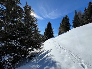 Wonderful winter hiking trails and traces after the winter snowfall above the tourist resorts of Valbella and Lenzerheide in the Swiss Alps - Canton of Grisons, Switzerland (Schweiz)