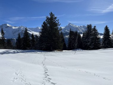 Wonderful winter hiking trails and traces after the winter snowfall above the tourist resorts of Valbella and Lenzerheide in the Swiss Alps - Canton of Grisons, Switzerland (Schweiz)