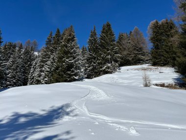 Wonderful winter hiking trails and traces after the winter snowfall above the tourist resorts of Valbella and Lenzerheide in the Swiss Alps - Canton of Grisons, Switzerland (Schweiz)