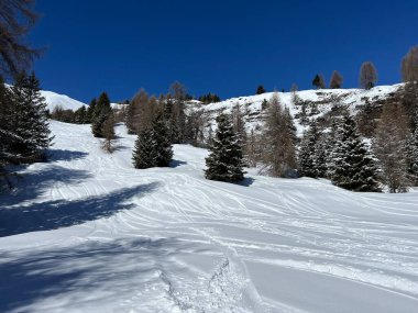 Wonderful winter hiking trails and traces after the winter snowfall above the tourist resorts of Valbella and Lenzerheide in the Swiss Alps - Canton of Grisons, Switzerland (Schweiz)