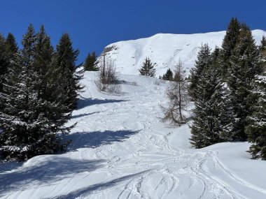 İsviçre Alpleri 'ndeki Valbella ve Lenzerheide tatil beldelerinin üzerindeki kar yağışı sonrası harika kış yürüyüş yolları ve izler İsviçre' nin Grisonlar Kantonu (Schweiz)