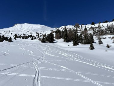 Wonderful winter hiking trails and traces after the winter snowfall above the tourist resorts of Valbella and Lenzerheide in the Swiss Alps - Canton of Grisons, Switzerland (Schweiz)