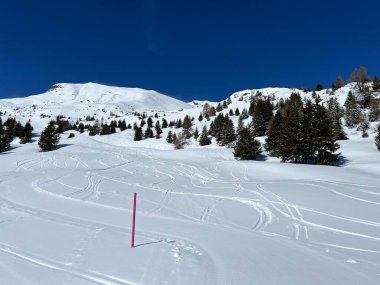 İsviçre Alpleri 'ndeki Valbella ve Lenzerheide tatil beldelerinin üzerindeki kar yağışı sonrası harika kış yürüyüş yolları ve izler İsviçre' nin Grisonlar Kantonu (Schweiz)