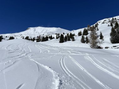 Wonderful winter hiking trails and traces after the winter snowfall above the tourist resorts of Valbella and Lenzerheide in the Swiss Alps - Canton of Grisons, Switzerland (Schweiz)