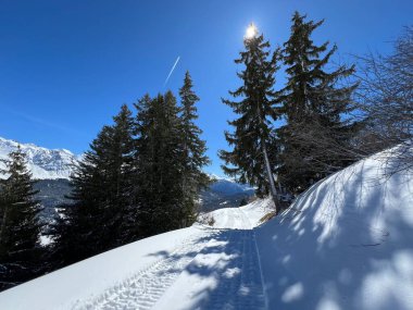 Wonderful winter hiking trails and traces after the winter snowfall above the tourist resorts of Valbella and Lenzerheide in the Swiss Alps - Canton of Grisons, Switzerland (Schweiz)