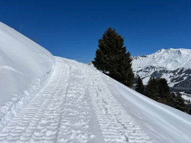 Wonderful winter hiking trails and traces after the winter snowfall above the tourist resorts of Valbella and Lenzerheide in the Swiss Alps - Canton of Grisons, Switzerland (Schweiz)