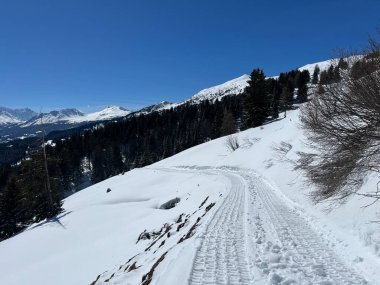 Wonderful winter hiking trails and traces after the winter snowfall above the tourist resorts of Valbella and Lenzerheide in the Swiss Alps - Canton of Grisons, Switzerland (Schweiz)