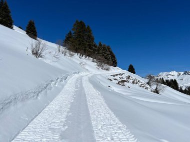 Wonderful winter hiking trails and traces after the winter snowfall above the tourist resorts of Valbella and Lenzerheide in the Swiss Alps - Canton of Grisons, Switzerland (Schweiz)