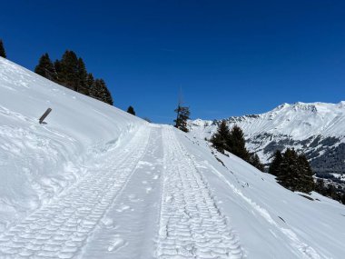 Wonderful winter hiking trails and traces after the winter snowfall above the tourist resorts of Valbella and Lenzerheide in the Swiss Alps - Canton of Grisons, Switzerland (Schweiz)