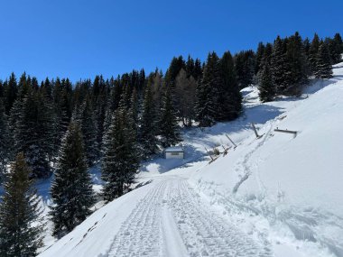 Wonderful winter hiking trails and traces after the winter snowfall above the tourist resorts of Valbella and Lenzerheide in the Swiss Alps - Canton of Grisons, Switzerland (Schweiz)