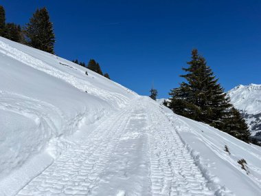 Wonderful winter hiking trails and traces after the winter snowfall above the tourist resorts of Valbella and Lenzerheide in the Swiss Alps - Canton of Grisons, Switzerland (Schweiz)