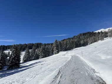 İsviçre Alpleri 'ndeki Valbella ve Lenzerheide tatil beldeleri bölgesinde yürüyüş, yürüyüş, yürüyüş, spor ve dinlenme için mükemmel bir şekilde düzenlenmiş ve temizlenmiş kış patikaları - İsviçre Grison Kantonu, İsviçre (Kanton Graubuenden, Schweiz)