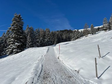 İsviçre Alpleri 'ndeki Valbella ve Lenzerheide tatil beldeleri bölgesinde yürüyüş, yürüyüş, yürüyüş, spor ve dinlenme için mükemmel bir şekilde düzenlenmiş ve temizlenmiş kış patikaları - İsviçre Grison Kantonu, İsviçre (Kanton Graubuenden, Schweiz)