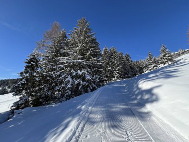 İsviçre Alpleri 'ndeki Valbella ve Lenzerheide tatil beldeleri bölgesinde yürüyüş, yürüyüş, yürüyüş, spor ve dinlenme için mükemmel bir şekilde düzenlenmiş ve temizlenmiş kış patikaları - İsviçre Grison Kantonu, İsviçre (Kanton Graubuenden, Schweiz)